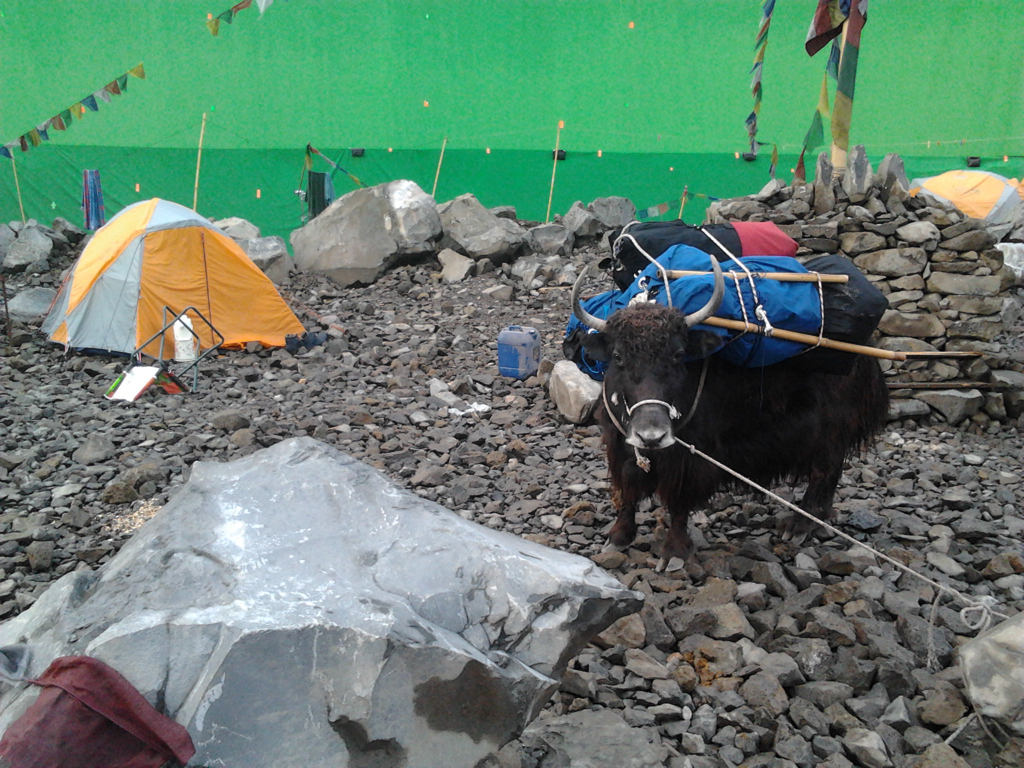 jak everest